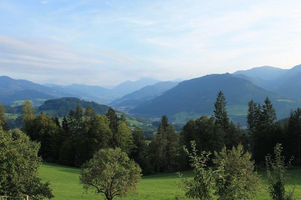 Ferienhotel Samerhof Пфаррверфен Экстерьер фото